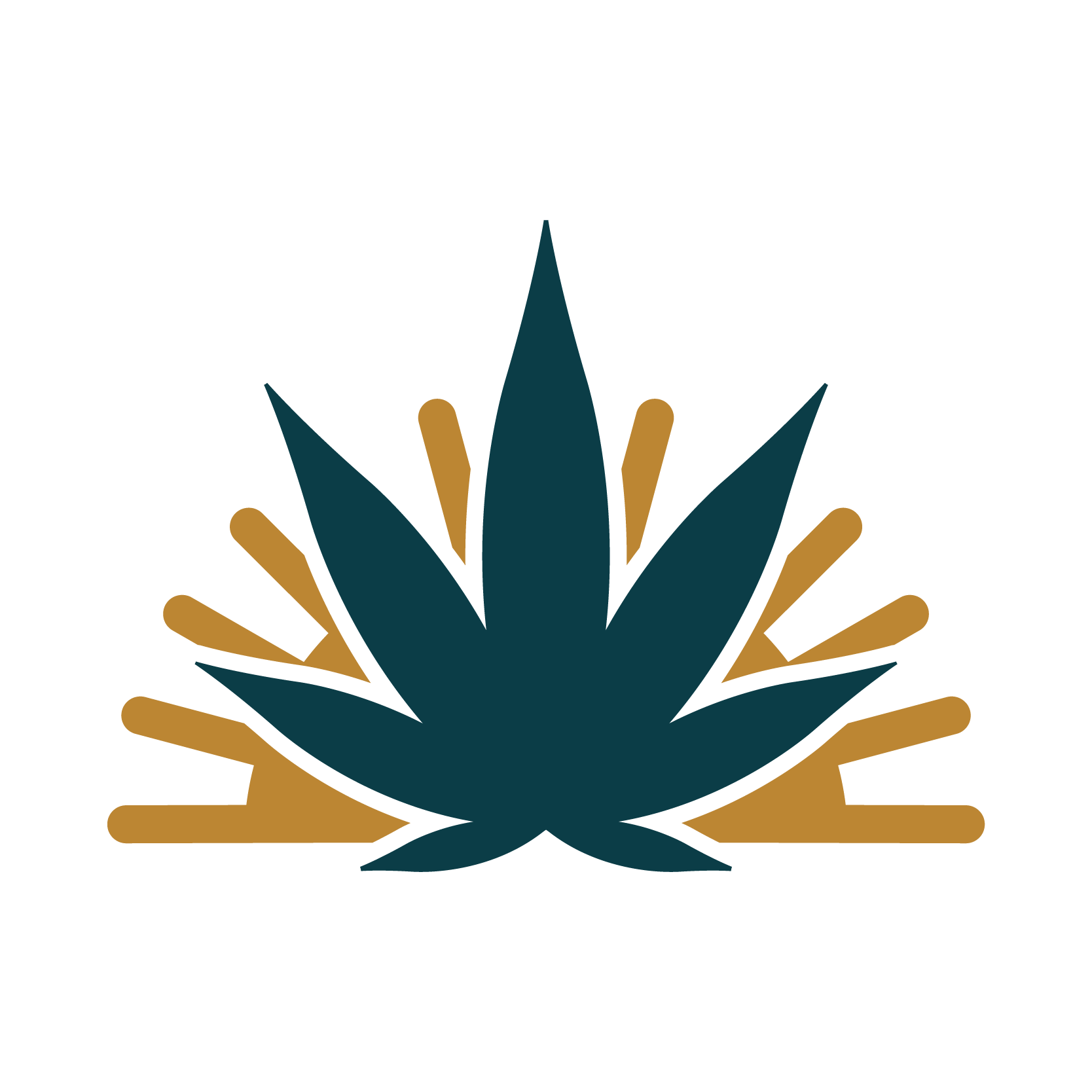 Ayr Wellness: A Leading Multi-State Cannabis Operator in Florida